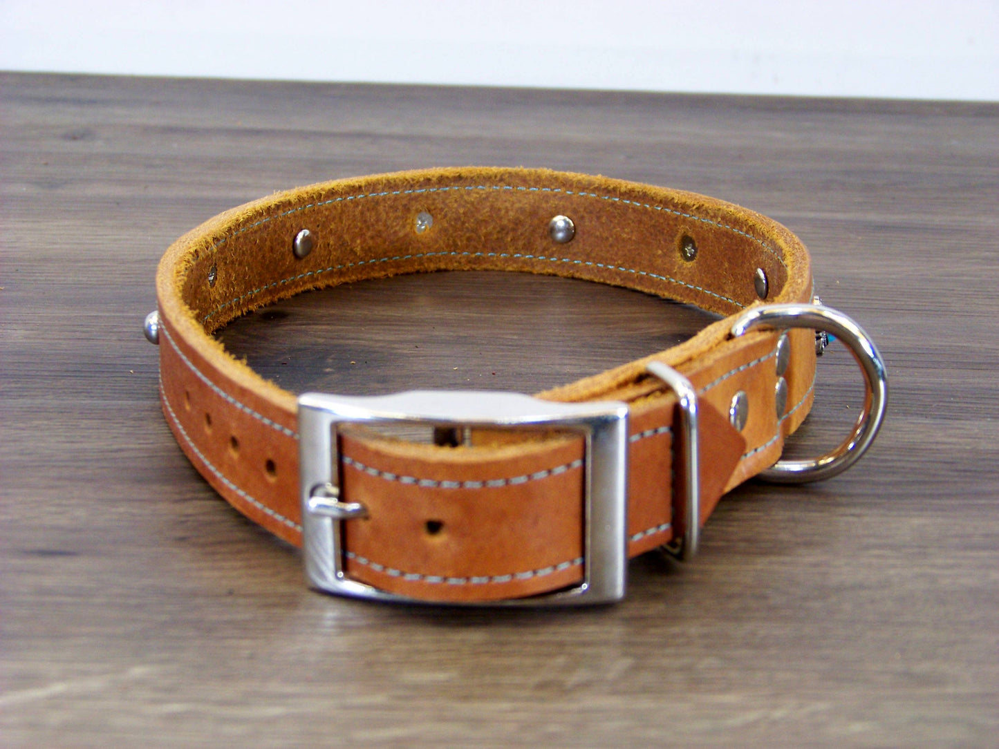 C) Durable Latigo Leather Dog Collar- 1" Wide- Blue Turquoise Conchos and Dome Accents