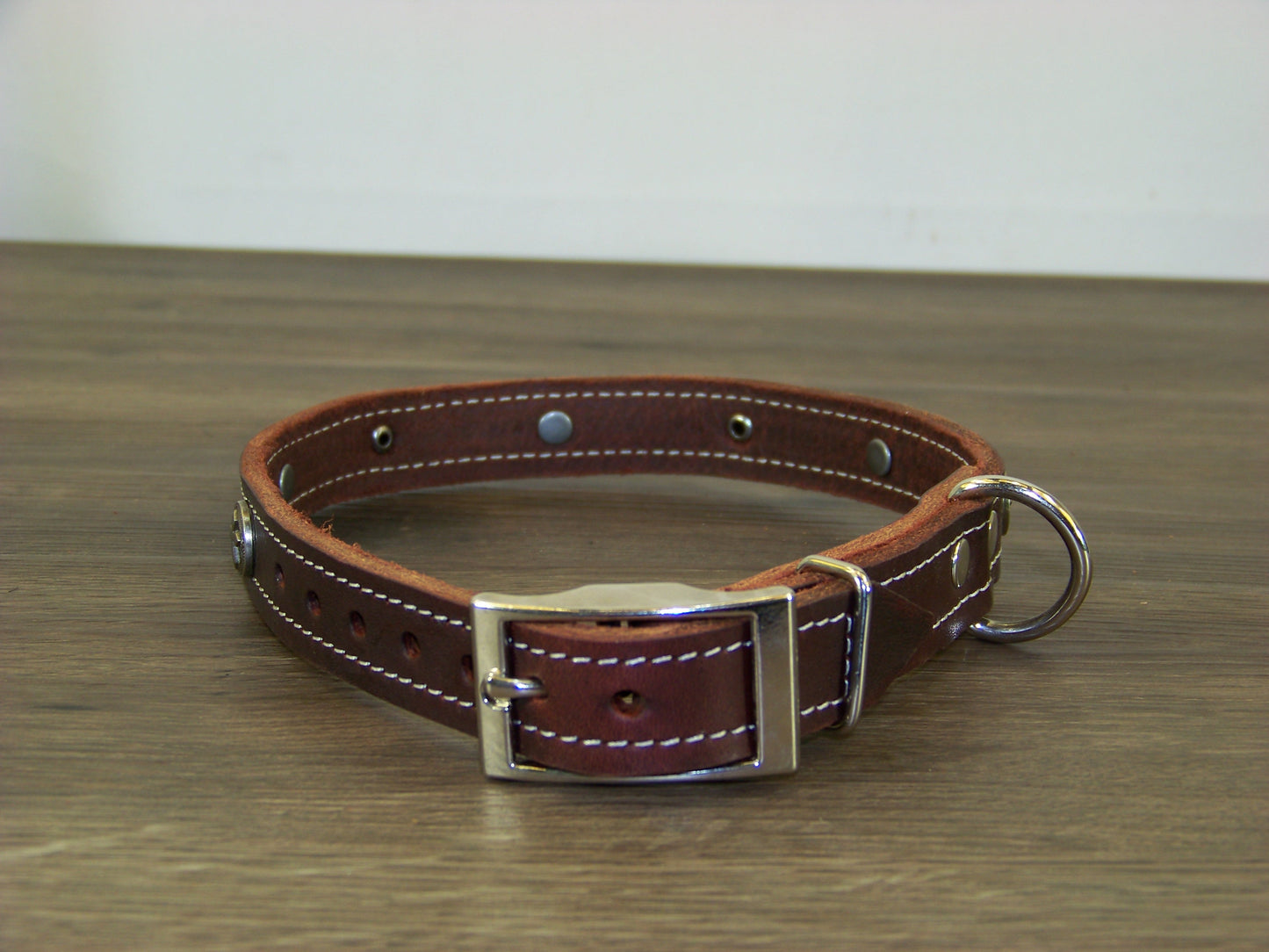 B) Durable Latigo Leather Dog Collar- 3/4" Wide- Celtic Cross Concho Accents