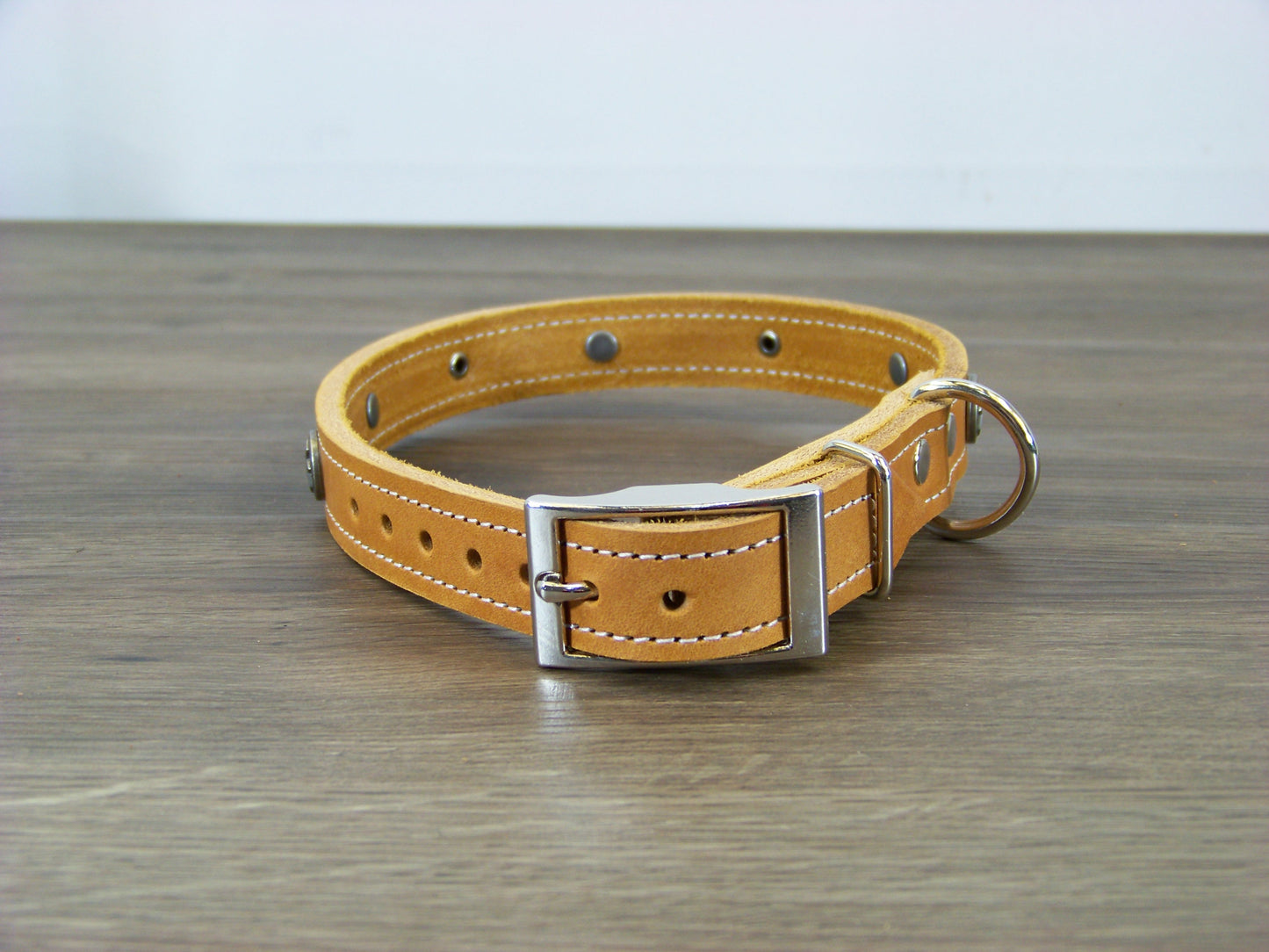 B) Durable Latigo Leather Dog Collar- 3/4" Wide- Celtic Cross Concho Accents