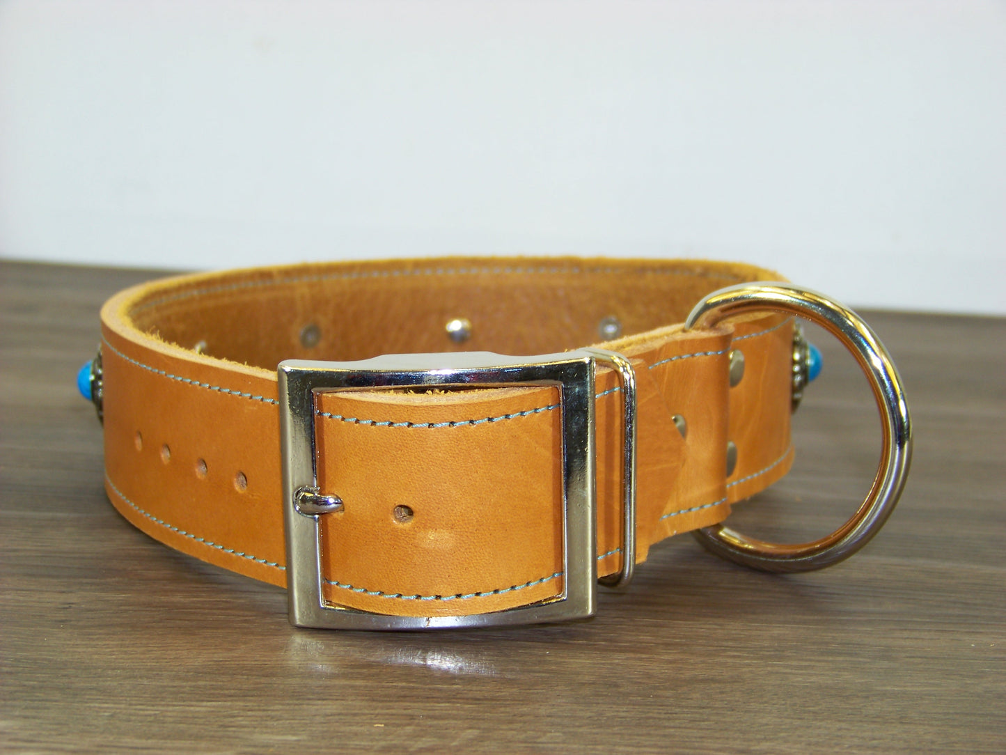 D) Durable Latigo Leather Dog Collar- 1-1/2" Wide- Blue Turquoise Conchos with Dome Rivets