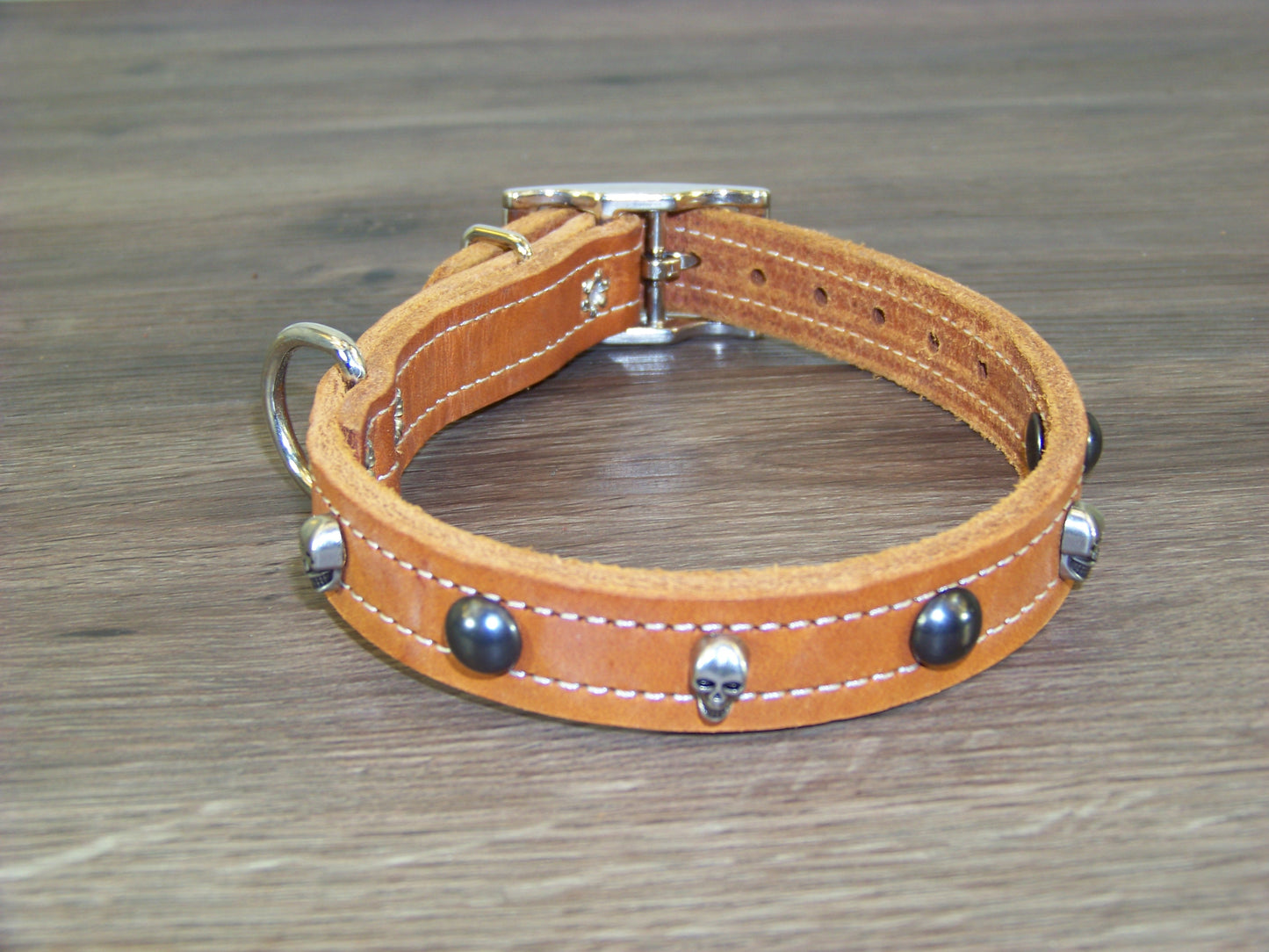B) SALE - Durable Latigo Leather Dog Collar- 3/4" Wide- Skull Concho W/ Dome Rivets.