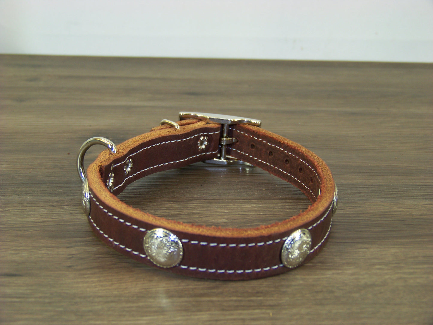 B) SALE - Durable Latigo Leather Dog Collar- 3/4" Wide- Stainless Western Concho Accents