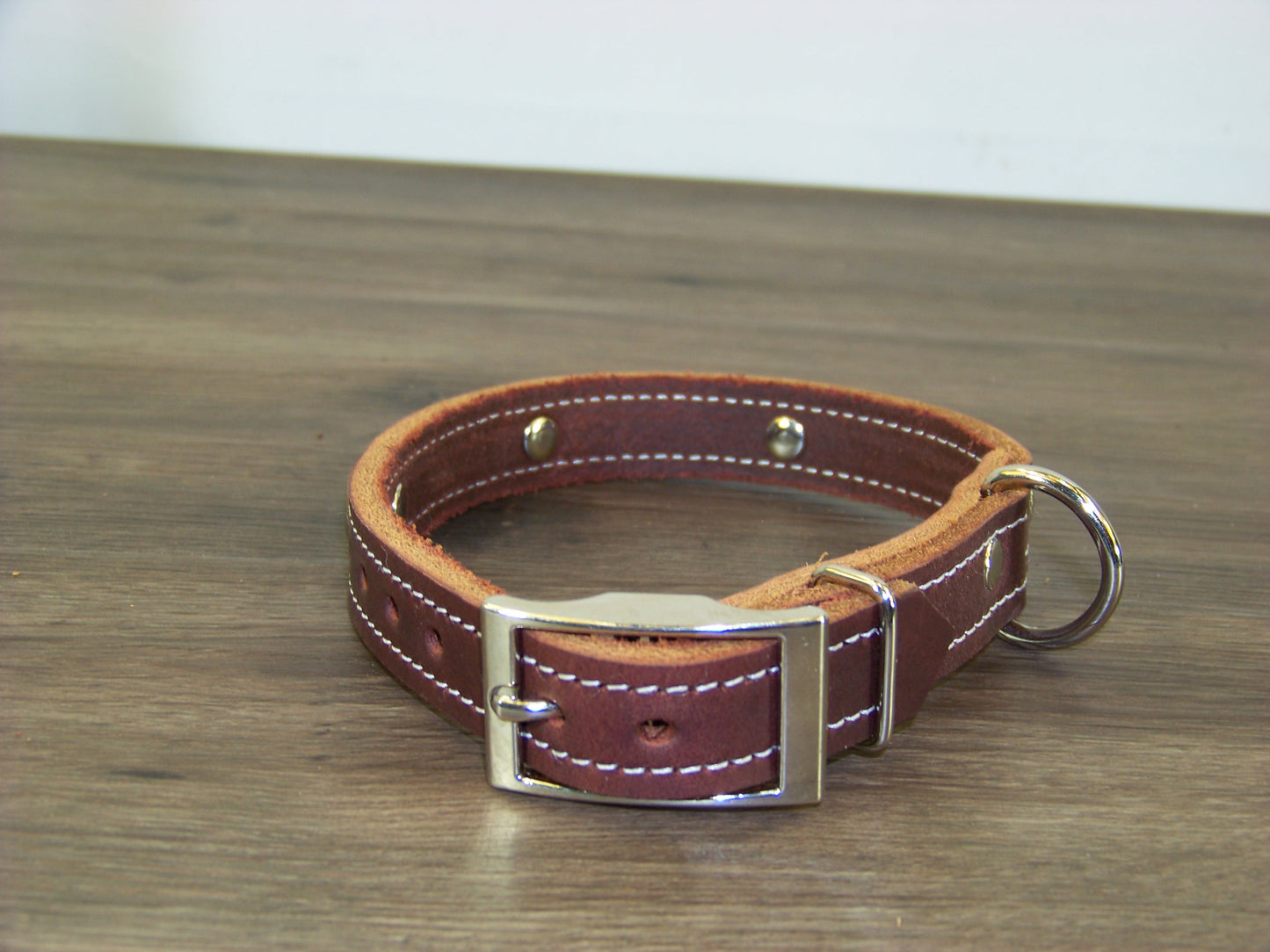 B) SALE - Durable Latigo Leather Dog Collar- 3/4" Wide- Stainless Western Concho Accents
