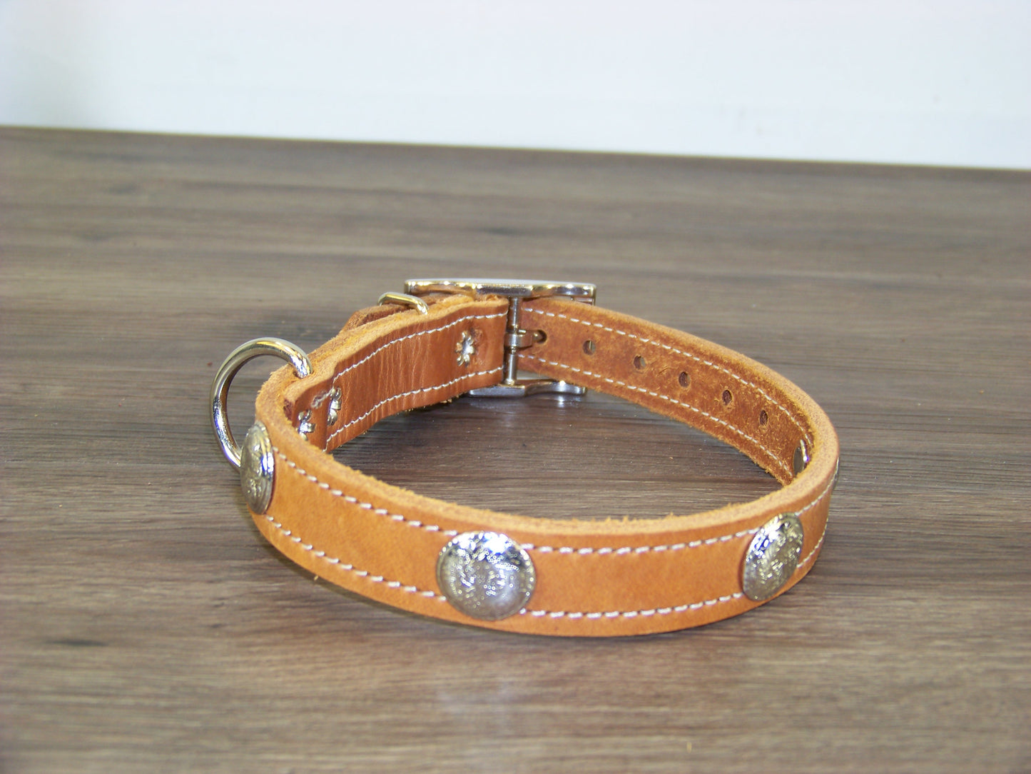 B) SALE - Durable Latigo Leather Dog Collar- 3/4" Wide- Stainless Western Concho Accents