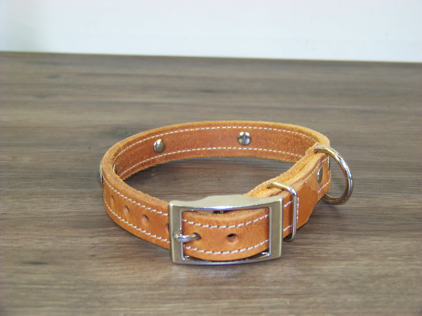 B) SALE - Durable Latigo Leather Dog Collar- 3/4" Wide- Stainless Western Concho Accents