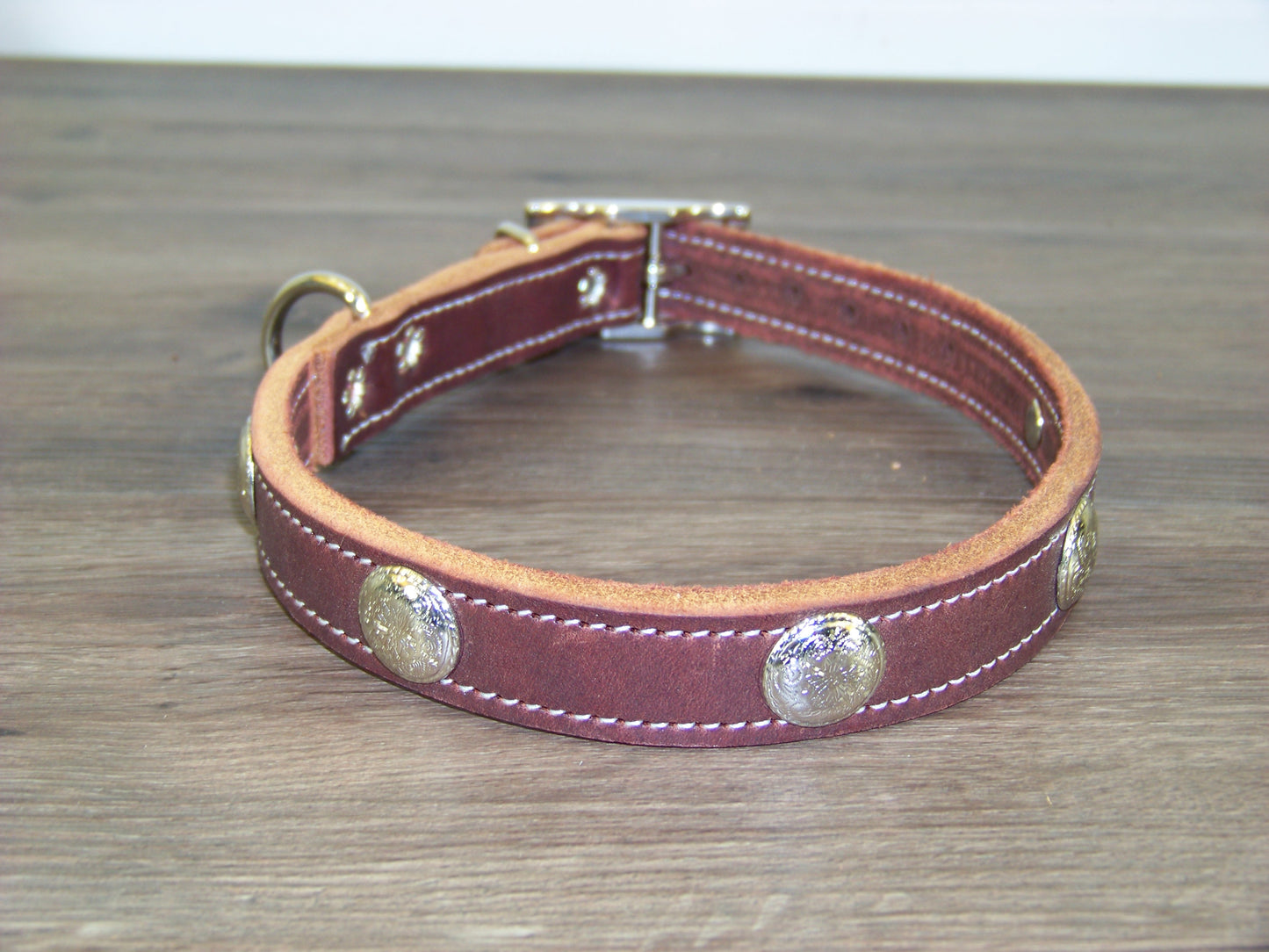 B) SALE - Durable Latigo Leather Dog Collar- 3/4" Wide- Stainless Western Concho Accents