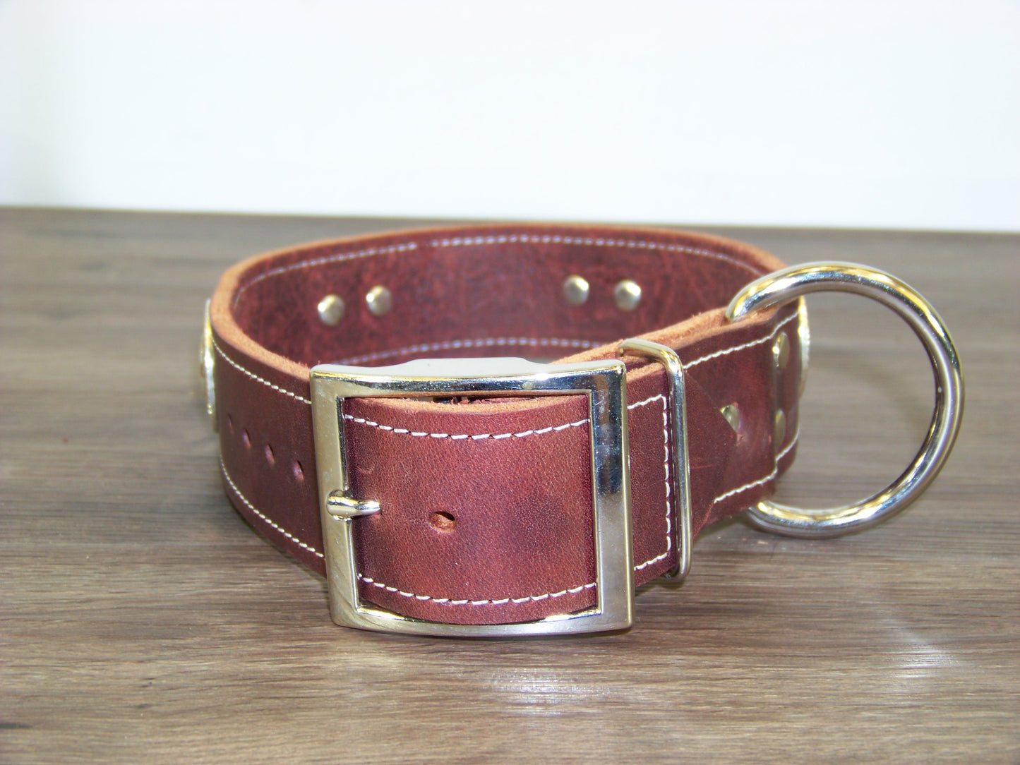 D) SALE - Durable Latigo Leather Dog Collar- 1-1/2" Wide- State Seal of Texas Conchos