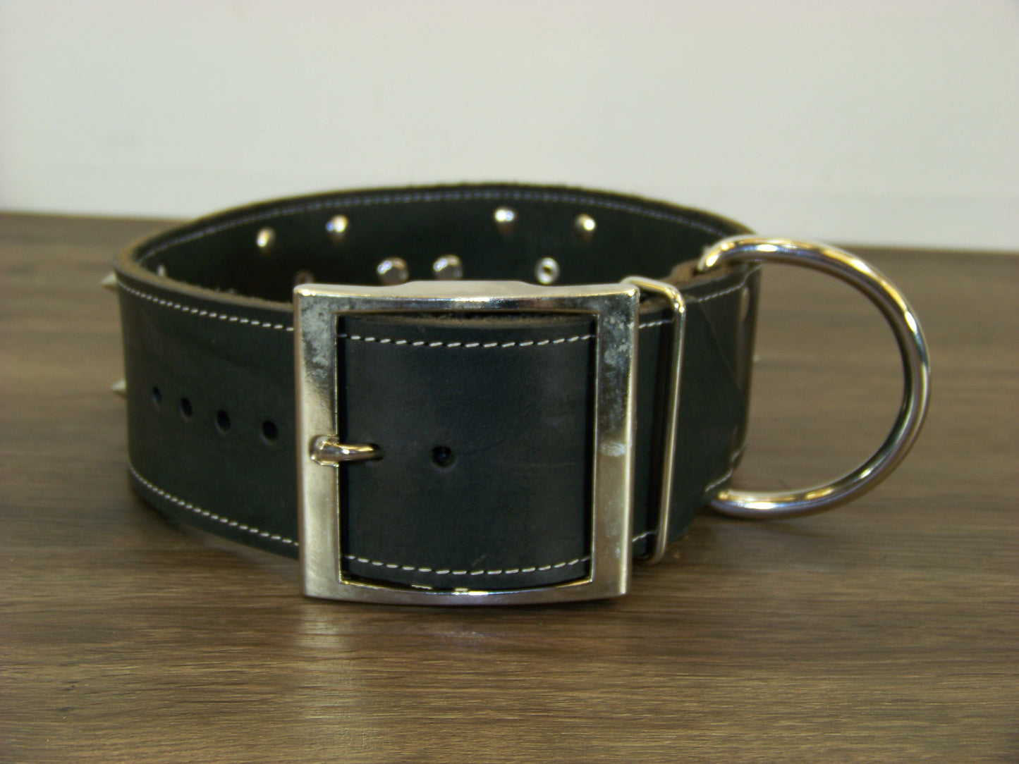 E) SALE - Durable Latigo Leather Dog Collar-2" Wide- Texas Conchos with Spikes