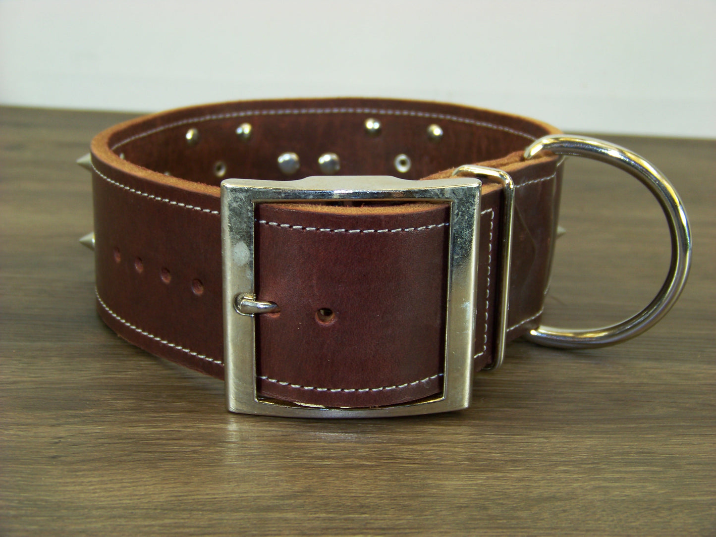 E) SALE - Durable Latigo Leather Dog Collar-2" Wide- Texas Conchos with Spikes