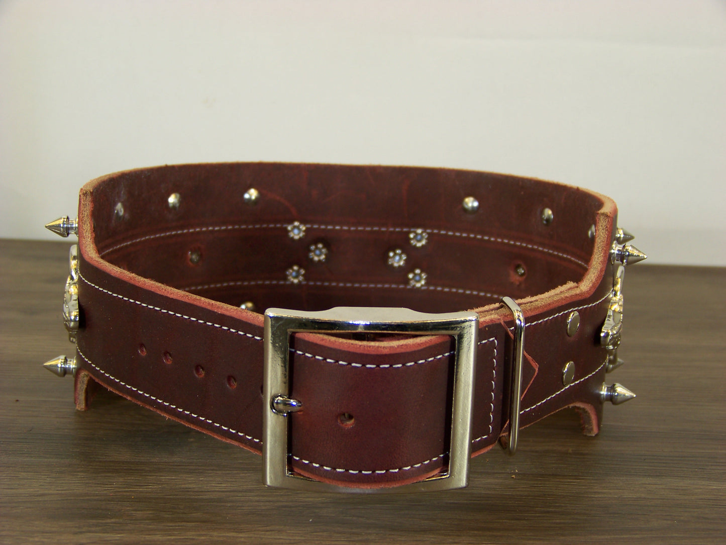F) Durable Latigo Leather Dog Collar- 3" Wide- Spikes and Longhorn Conchos