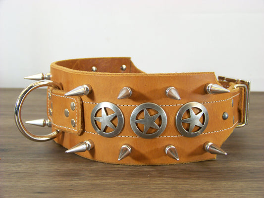 F) Durable Latigo Leather Dog Collar- 3" Wide- Double Row Spikes and Star Conchos