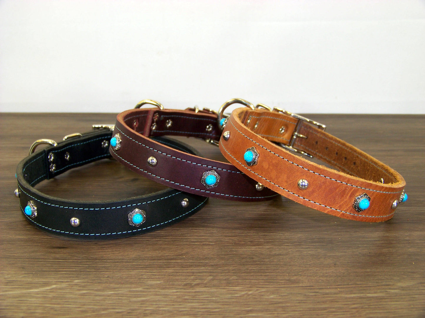 C)   1" Wide Leather Dog Collar - The Maverick - Featuring Turquoise Conchos with Stainless Dome Accents