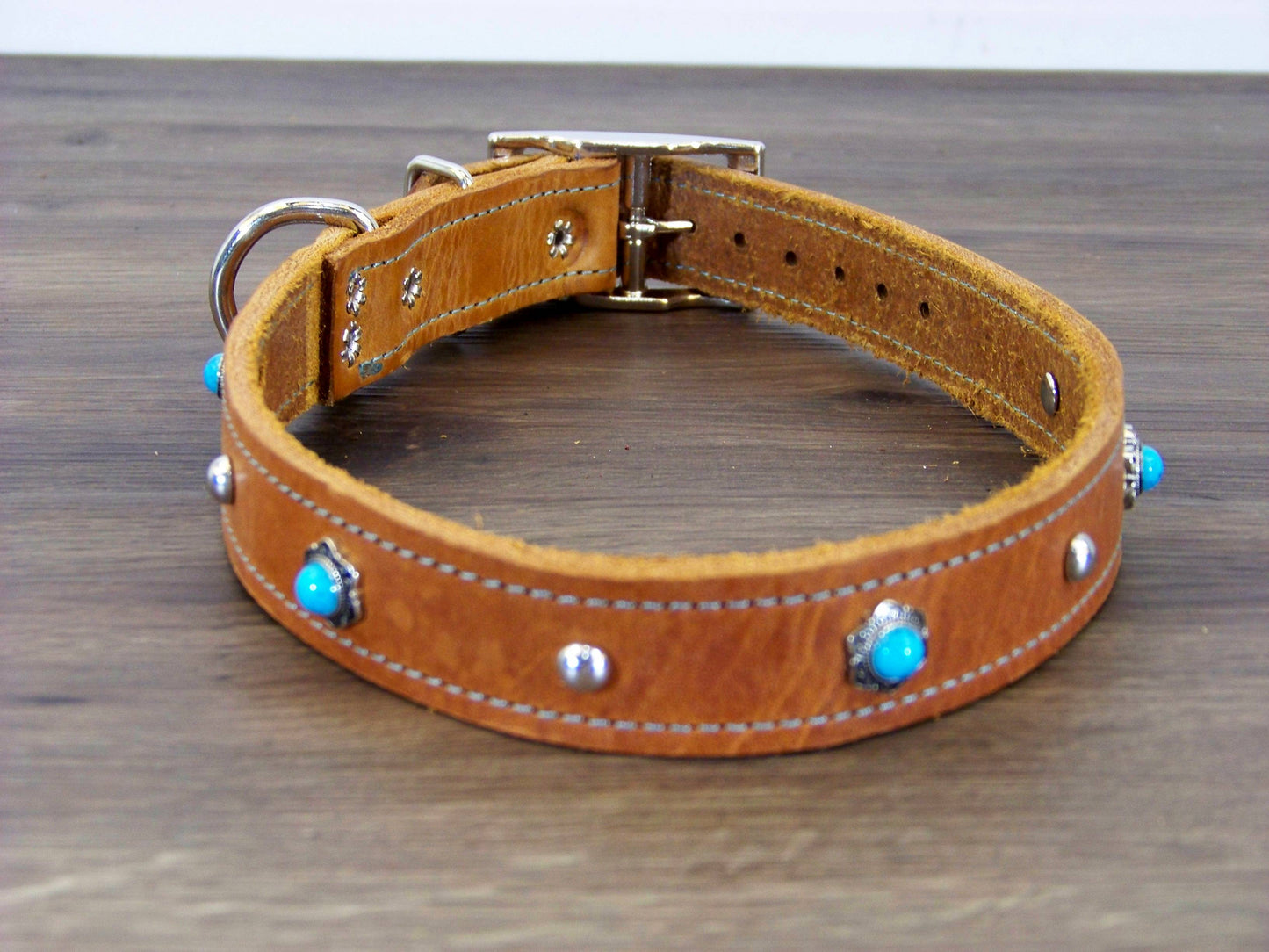 C)   1" Wide Leather Dog Collar - The Maverick - Featuring Turquoise Conchos with Stainless Dome Accents
