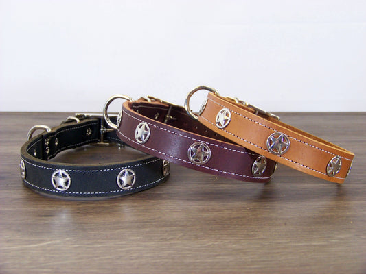 C)   1" Wide Leather Dog Collar- The Sherriff - Featuring a Star Concho