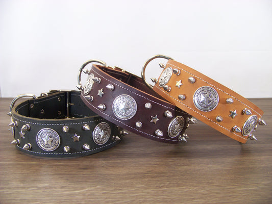 E)   2" Wide Leather Dog Collar- The Texas Ranger - 1/2" Stainless Spikes W/ State Seal of Texas Concho