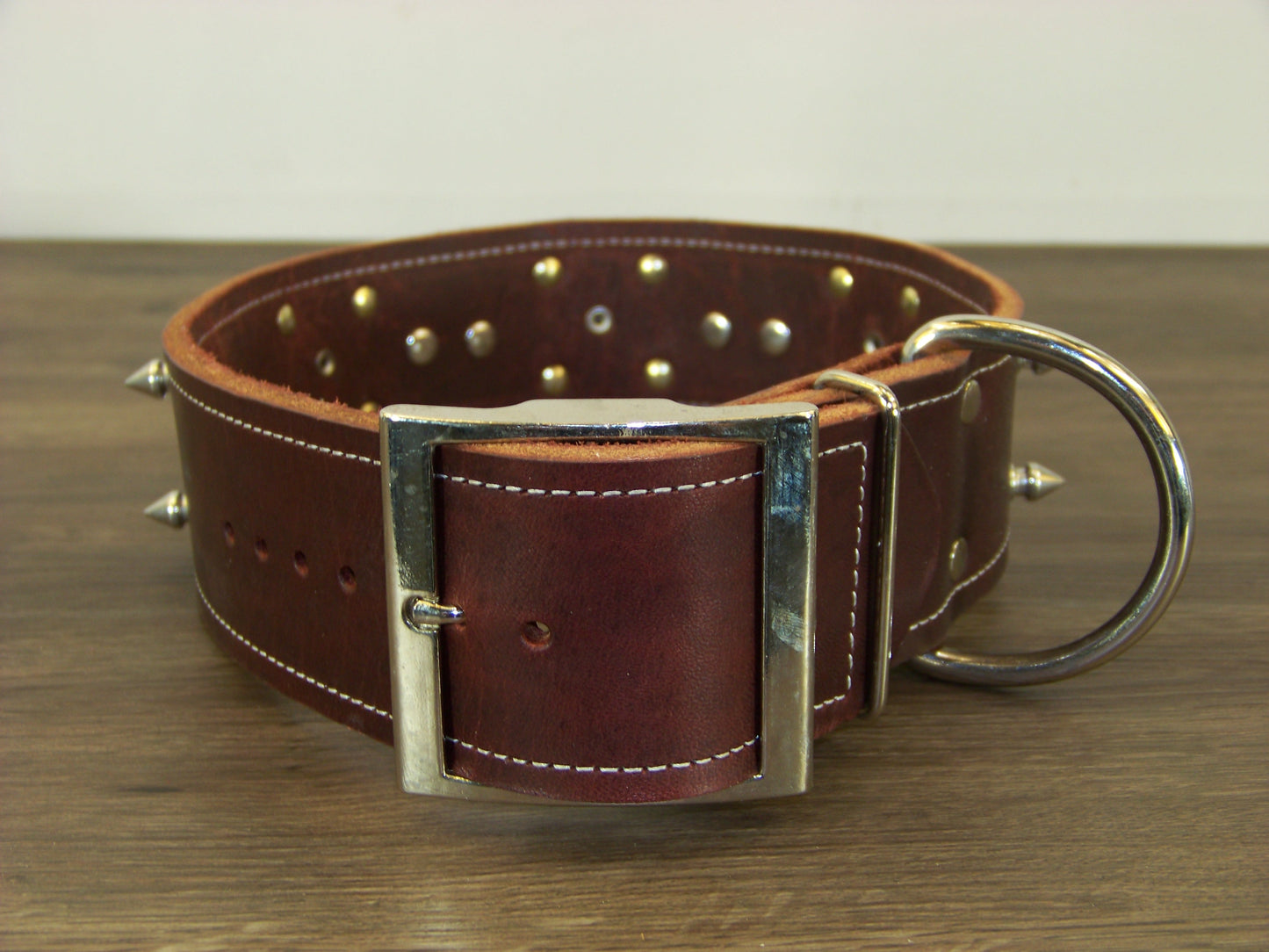 E)   2" Wide Leather Dog Collar- The Texas Ranger - 1/2" Stainless Spikes W/ State Seal of Texas Concho
