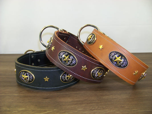 E)   2" Wide Leather Dog Collar- The Lucky Star - Western Horseshoe Medalian Accented with a Gold Stars