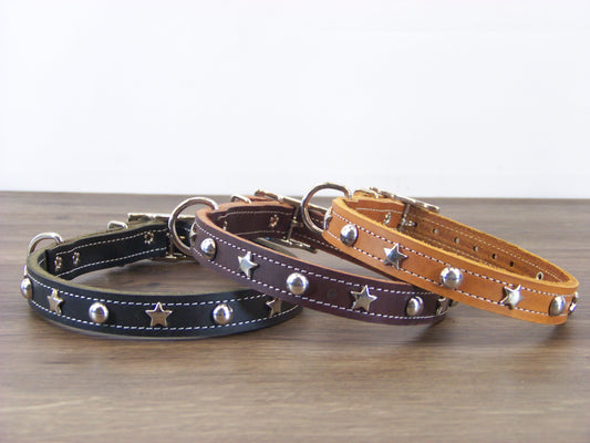 B)   3/4" Wide Leather Dog Collar -The Hollywood II - Featuring Stainless Star Conchos W/ Dome Rivet