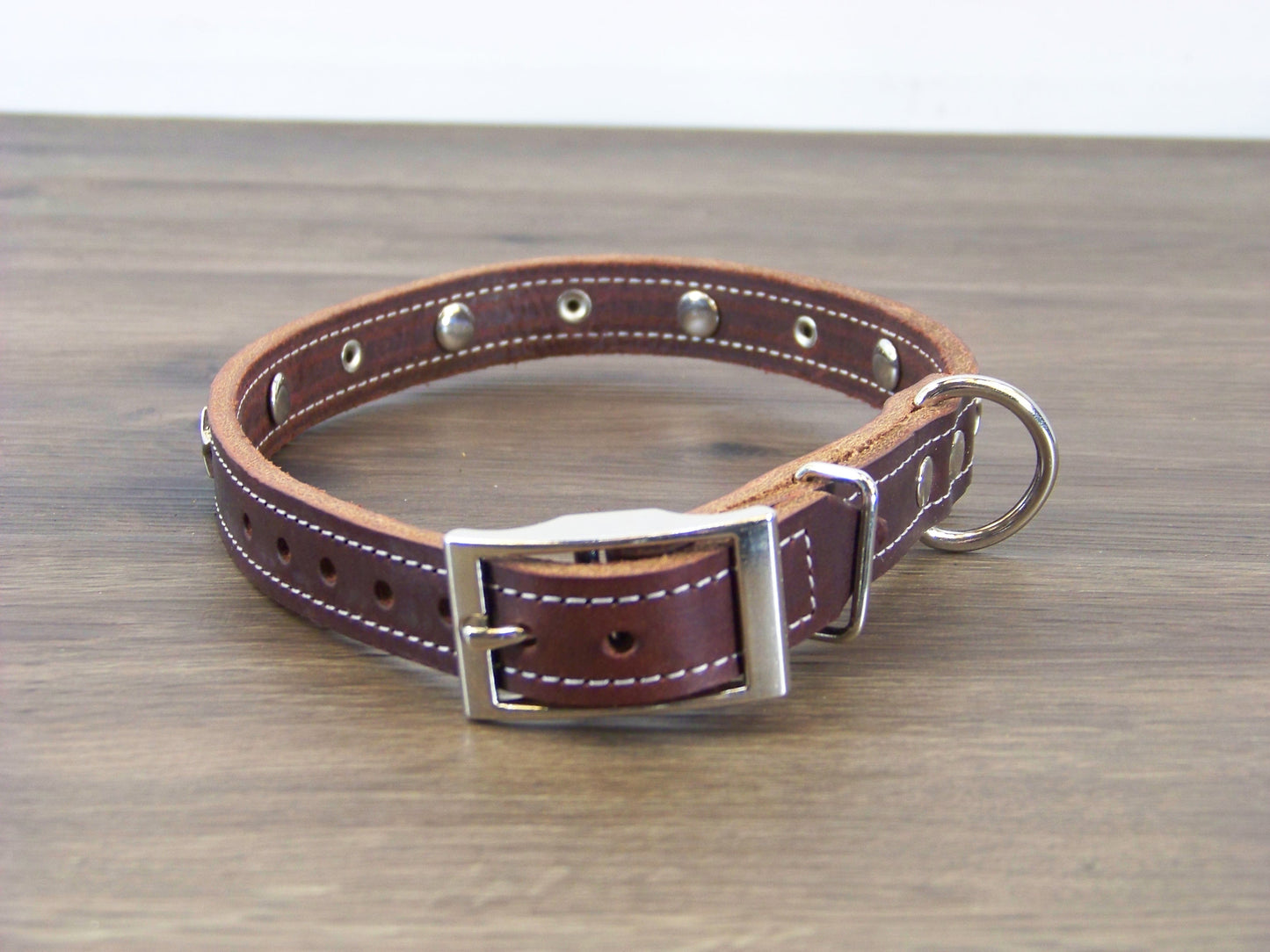 B)   3/4" Wide Leather Dog Collar -The Hollywood II - Featuring Stainless Star Conchos W/ Dome Rivet