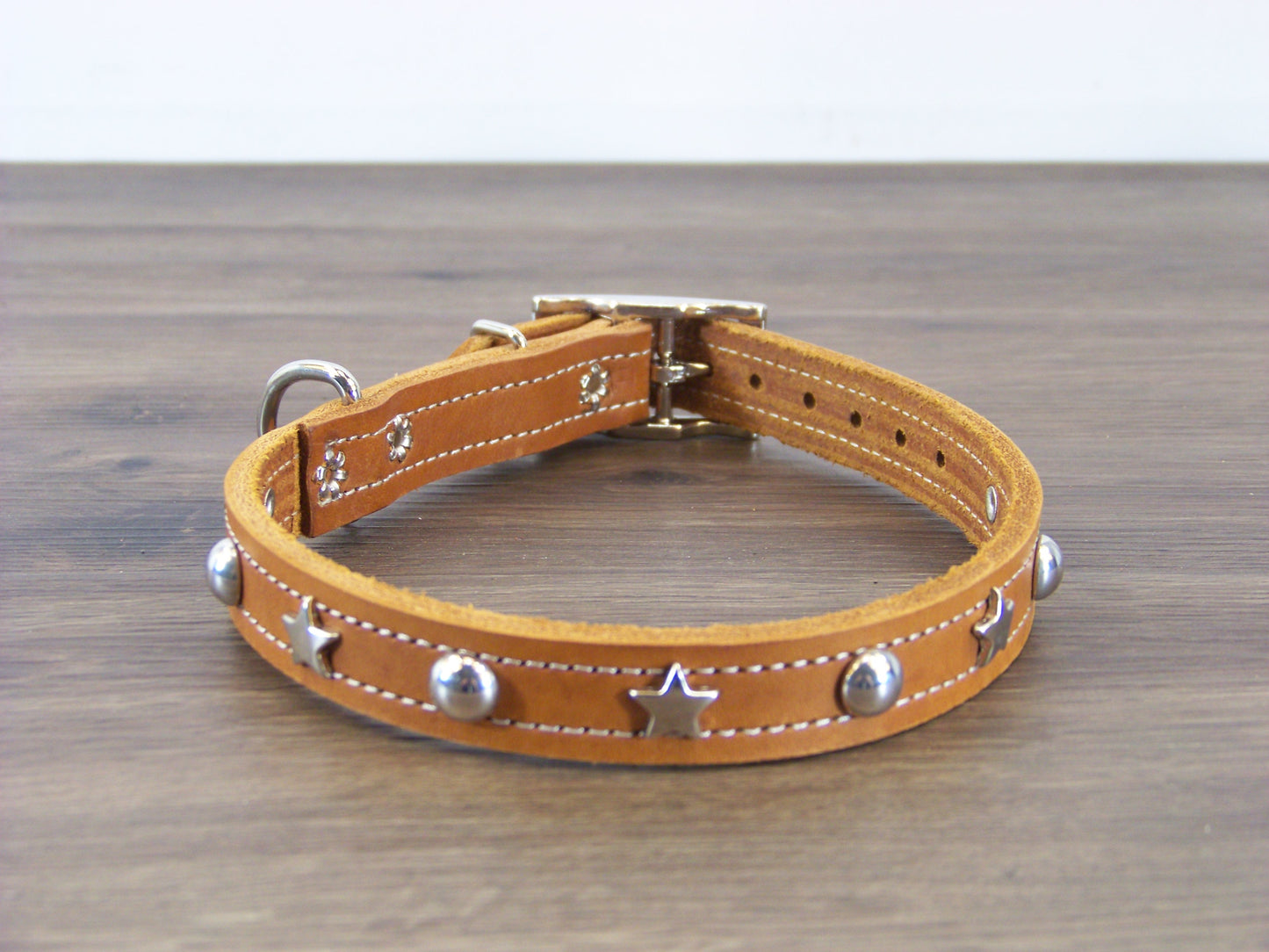 B)   3/4" Wide Leather Dog Collar -The Hollywood II - Featuring Stainless Star Conchos W/ Dome Rivet