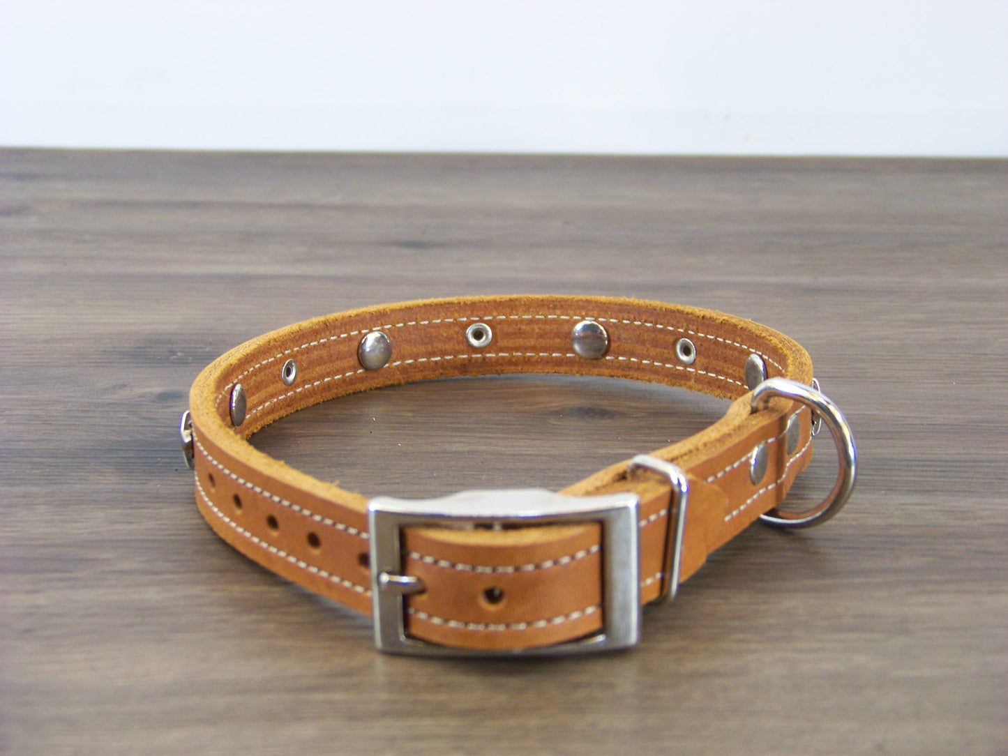 B)   3/4" Wide Leather Dog Collar -The Hollywood II - Featuring Stainless Star Conchos W/ Dome Rivet