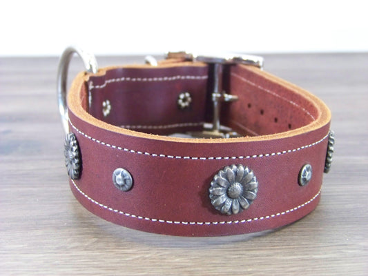 D)  1-1/2' Wide Leather Dog Collar - ON SALE - The Daisey - Flower Concho with Dome Accents