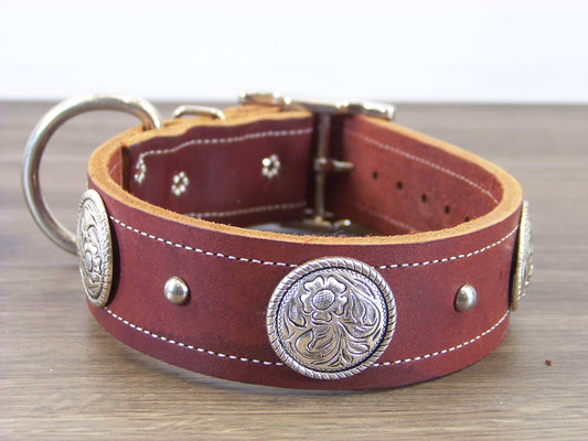 D)  1-1/2' Wide Leather Dog Collar - ON SALE - The Westerner - Western Concho with Dome Accents