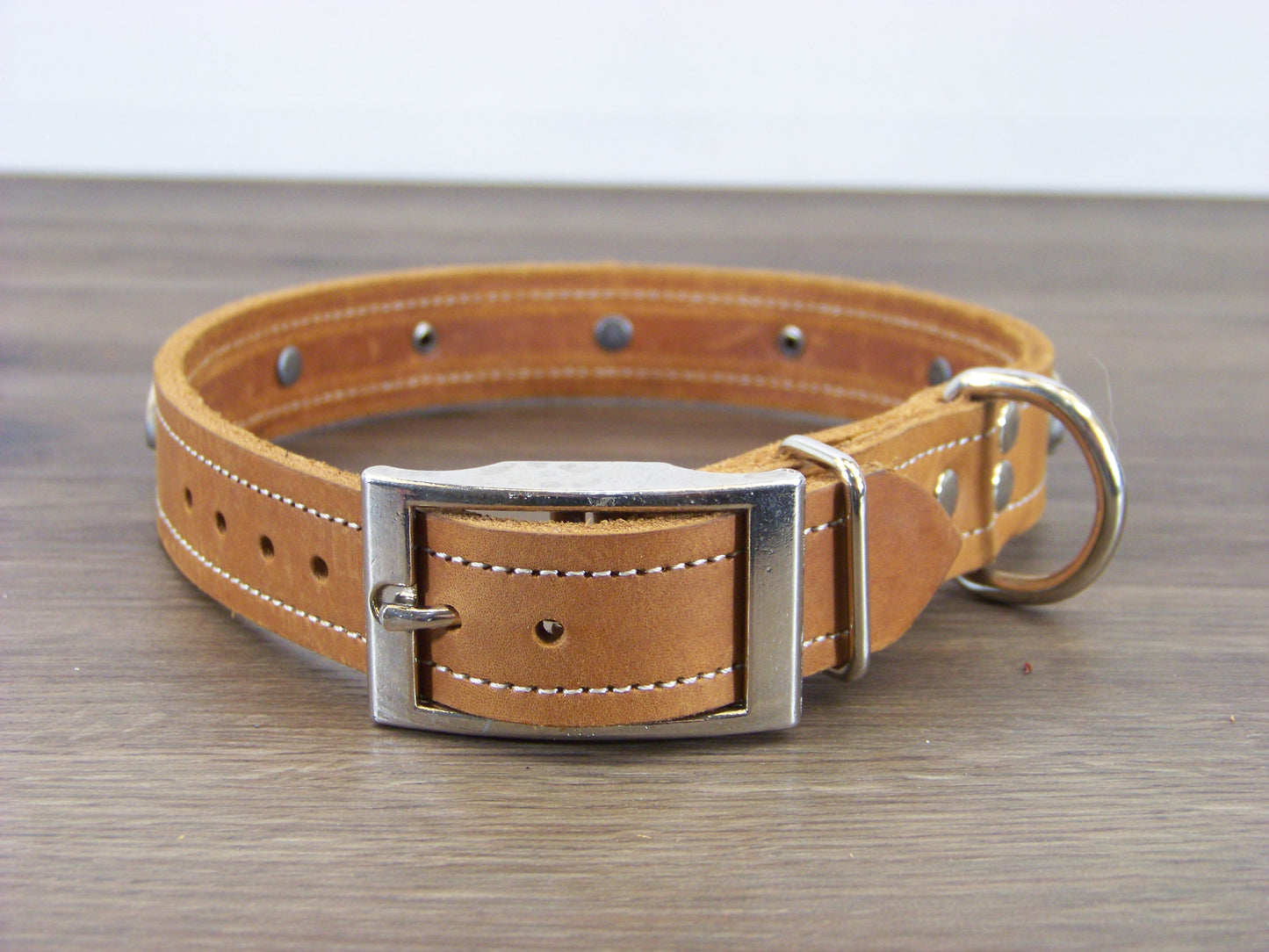 C)   1" Wide Leather Dog Collar - The Gambler - ON SALE - Featuring an Ace of Spades Concho W/ Dome Rivets