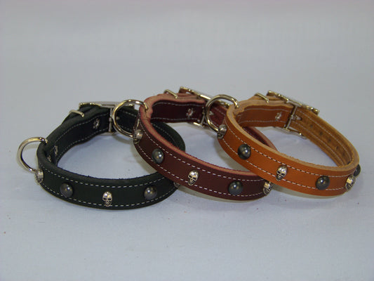 B)   3/4" Wide Leather Dog Collar - The Dark Angel II - Featuring Skull Conchos with Dark Dome Accents