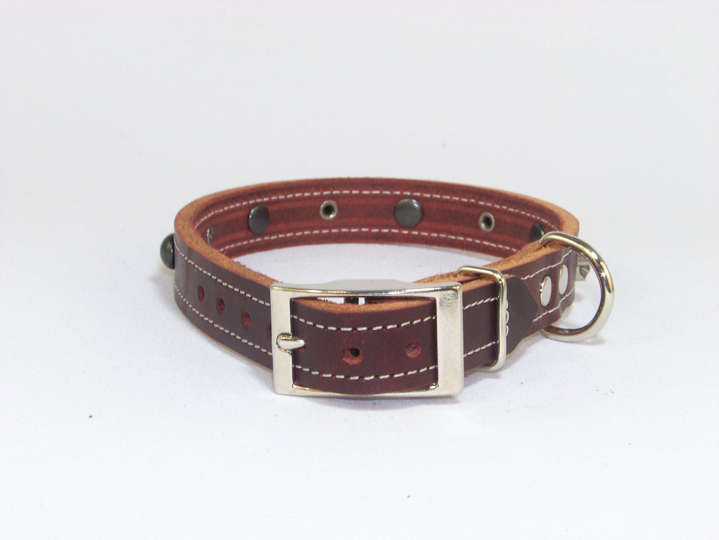 B)   3/4" Wide Leather Dog Collar - The Dark Angel II - Featuring Skull Conchos with Dark Dome Accents